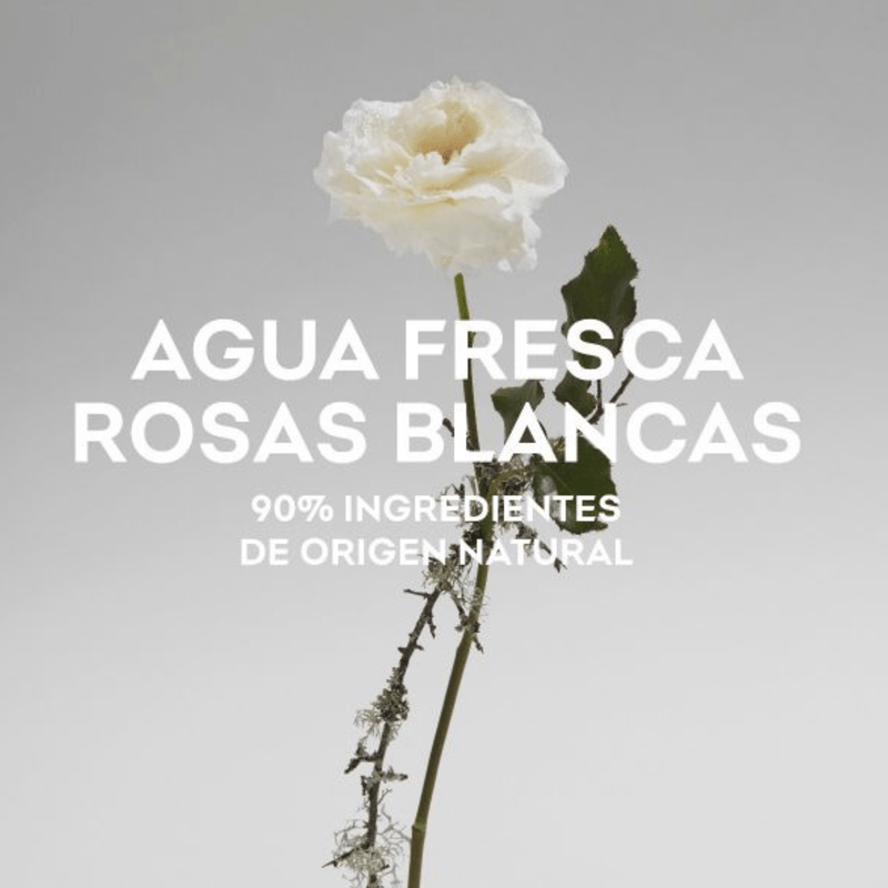 AGUA-FRESCA-DE-ROSAS-BLANCAS
