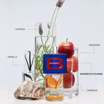 RED-EDP-BENSIMON
